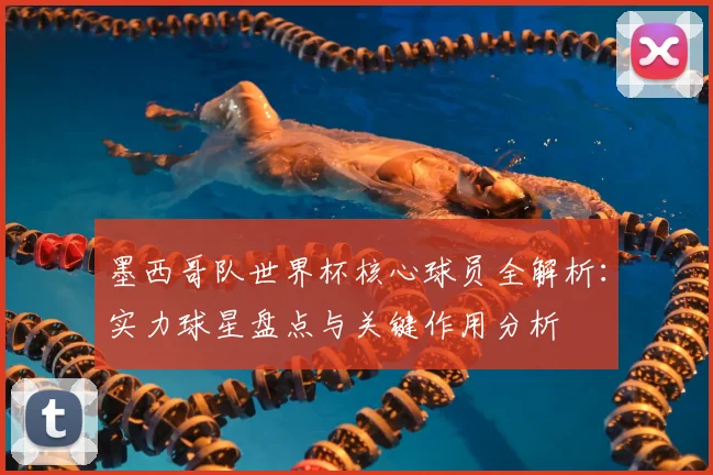墨西哥队世界杯核心球员全解析：实力球星盘点与关键作用分析