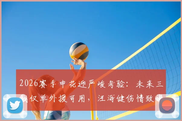 2026赛季申花迎严峻考验：未来三战仅单外援可用，汪海健伤情致训练缺席，阵容危机如何破局