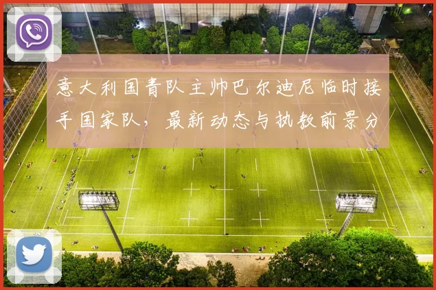 意大利国青队主帅巴尔迪尼临时接手国家队,最新动态与执教前景分析